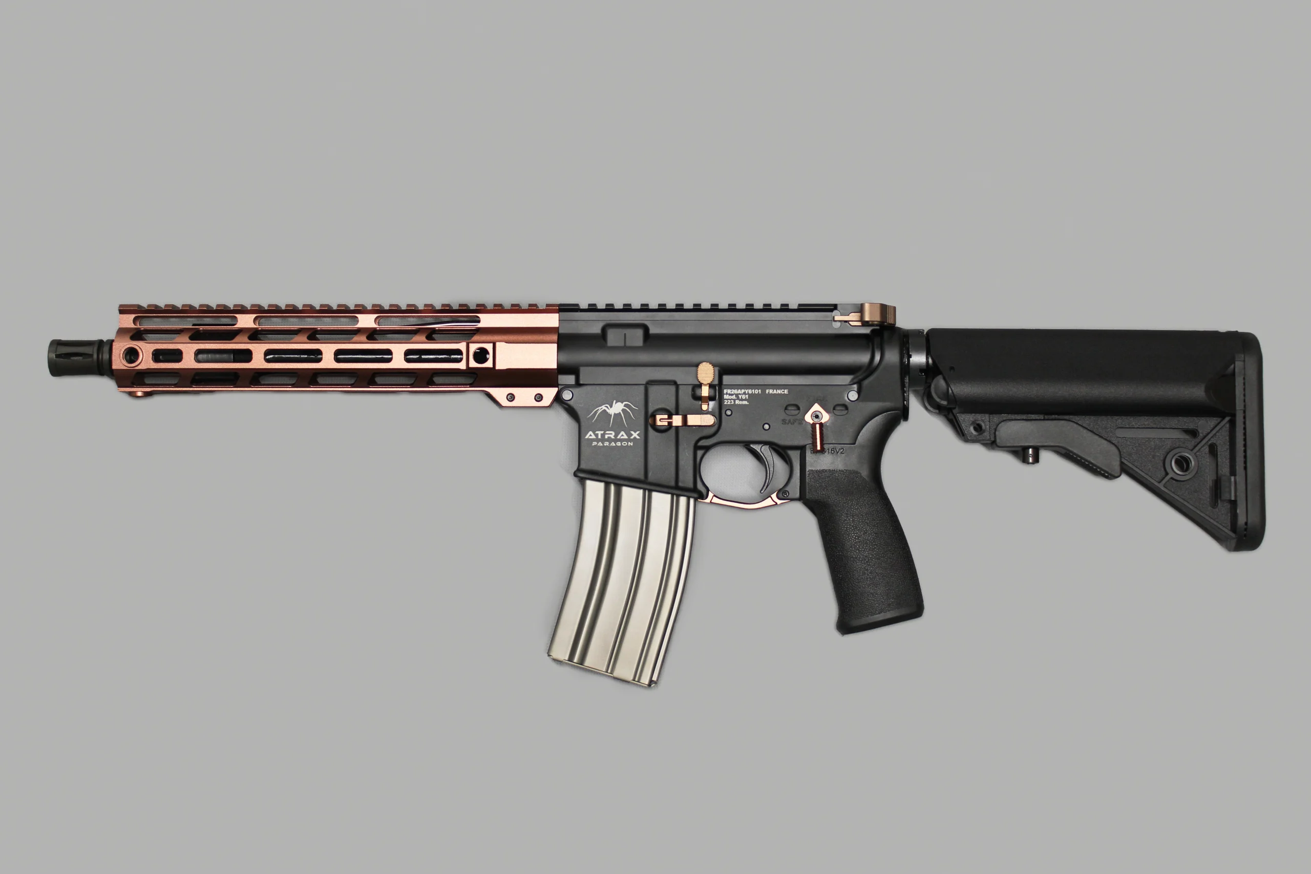arme ar-15 modèle y61