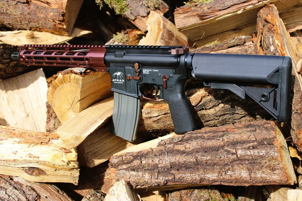 carabine de tir sportif ar15 y61
